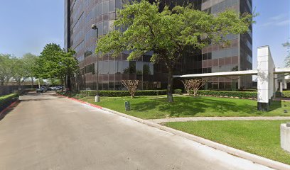 THE INVESTIGATIVE FIRM