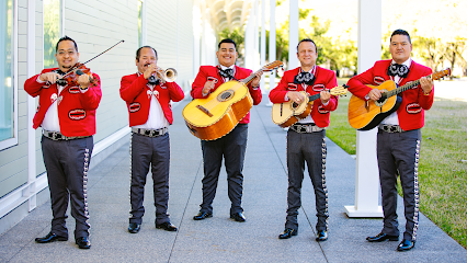 Mariachi Tradición de Jalisco